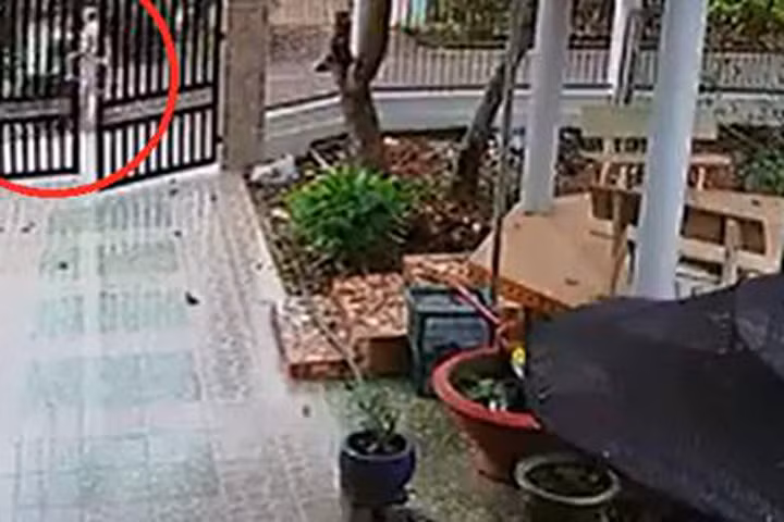 Cướp vờ hỏi đường rồi giật dây chuyền ngay giữa ban ngày