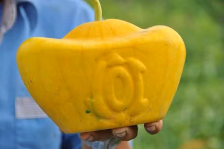 Loat dua hau doc la gia bac trieu gay 