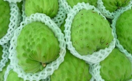 Diem loat hoa qua khong lo gay sot nam 2016 - Anh 5