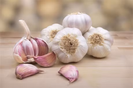 Cach dung toi chua khoi benh tri tot hon thuoc - Anh 1