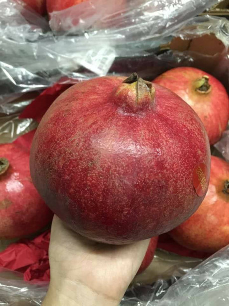 Diem loat hoa qua khong lo gay sot nam 2016 - Anh 3