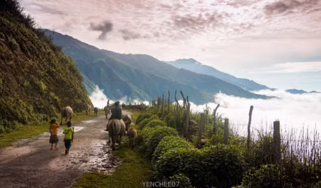San may - cung duong phuot mong mo cho phuot thu dip Tet - Anh 2