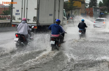 TP.HCM: Mưa trái mùa kỷ lục khiến người dân TP.HCM: Mua trai mua ky luc khien nguoi dan