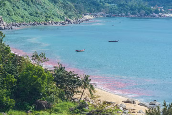 Bức ảnh được đưa lên Facebook cho rằng dải nước màu đỏ xuất hiện ở Bãi Nam (Sơn Trà, Đà Nẵng). Ảnh: Facebook Quản lý đô thị Đà Nẵng.