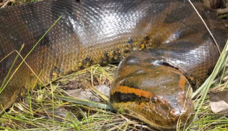 Top phat hien gay soc trong cac hang dong - Anh 2