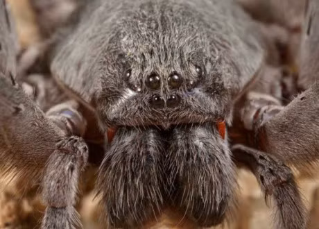 Top phat hien gay soc trong cac hang dong - Anh 10