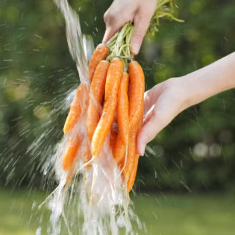 19 sai lam nghiem trong khi xao nau, an rau xanh - Anh 2