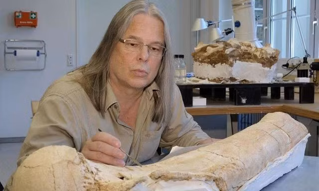  Tiến sĩ Kahlke kiểm tra xương đùi của một hóa thạch voi ma mút. 