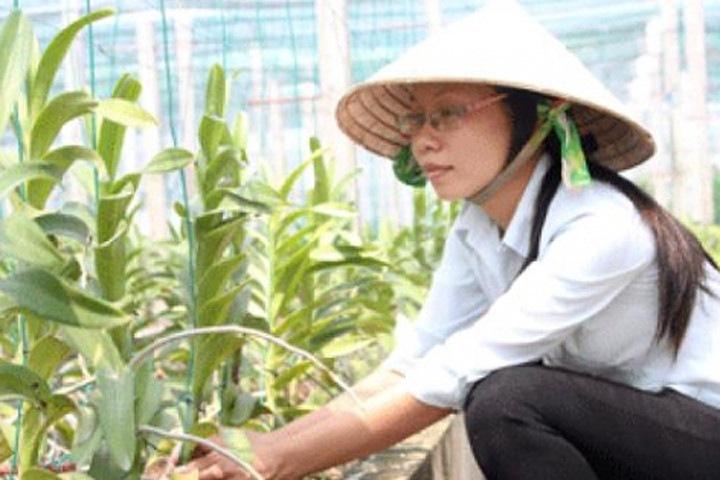 Các mô hình NNCNC ở TP.HCM rất cần những cán bộ trí thức trẻ góp sức chuyển giao khoa học, kỹ thuật cho nông dân. Ảnh: K.H