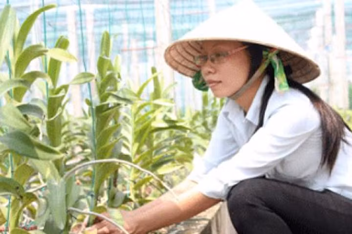 Các mô hình NNCNC ở TP.HCM rất cần những cán bộ trí thức trẻ góp sức chuyển giao khoa học, kỹ thuật cho nông dân. Ảnh: K.H