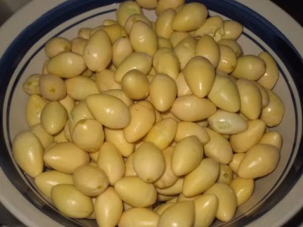 tác hại của bạch quả