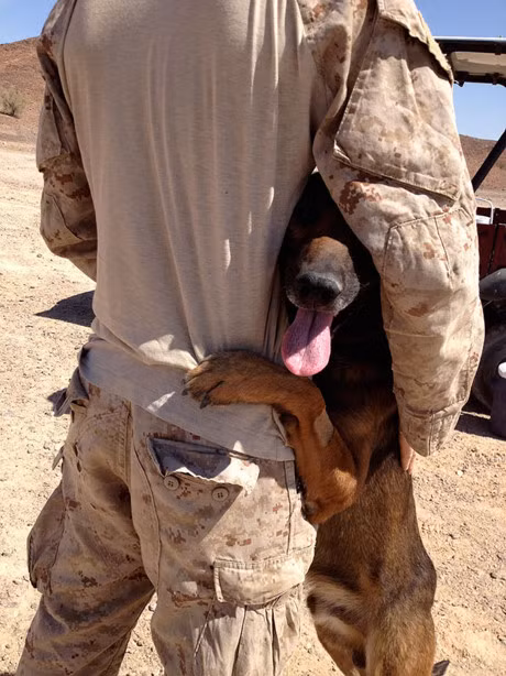 Tinh ban dep giua nguoi linh va chu cho - Anh 7