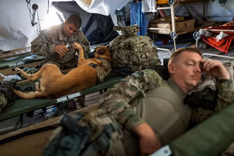 Tinh ban dep giua nguoi linh va chu cho - Anh 17