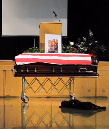 Tinh ban dep giua nguoi linh va chu cho - Anh 2