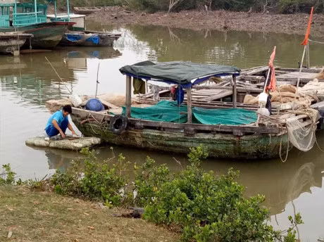 Ca tung vang soan ngoi ca su, trung me luoi ngang so doc dac - Anh 3