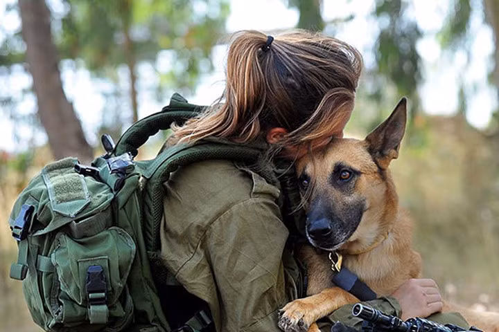 Tình bạn đẹp giữa người lính và chú chó