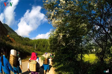 Kham pha cuoc song doi thuong tren cao nguyen da Dong Van - Anh 12
