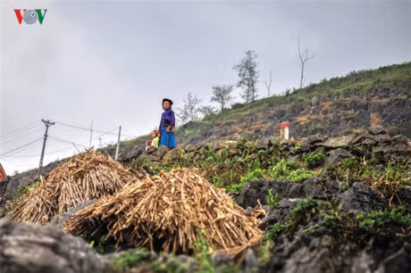 Kham pha cuoc song doi thuong tren cao nguyen da Dong Van - Anh 8