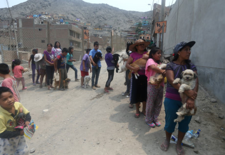 Peru chìm trong bùn sau lũ và lở đất lịch sử - Ảnh 13 Peru chim trong bun sau lu va lo dat lich su - Anh 13