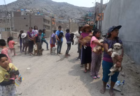 Peru chim trong bun sau lu va lo dat lich su - Anh 13