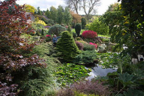 Bỏ ra 25 năm để biến bãi cỏ trống thành khu vườn đẹp như cổ tích - Ảnh 6 Bo ra 25 nam de bien bai co trong thanh khu vuon dep nhu co tich - Anh 6