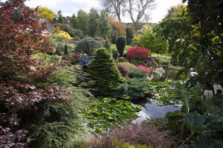 Bo ra 25 nam de bien bai co trong thanh khu vuon dep nhu co tich - Anh 6