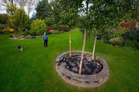 Bo ra 25 nam de bien bai co trong thanh khu vuon dep nhu co tich - Anh 9