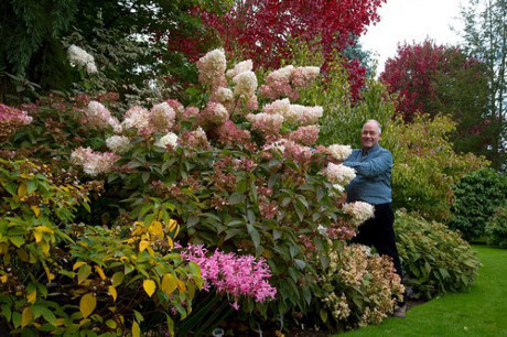 Bỏ ra 25 năm để biến bãi cỏ trống thành khu vườn đẹp như cổ tích - Ảnh 3 Bo ra 25 nam de bien bai co trong thanh khu vuon dep nhu co tich - Anh 3