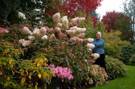 Bo ra 25 nam de bien bai co trong thanh khu vuon dep nhu co tich - Anh 3