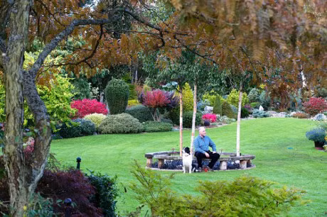 Bo ra 25 nam de bien bai co trong thanh khu vuon dep nhu co tich - Anh 7