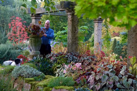 Bo ra 25 nam de bien bai co trong thanh khu vuon dep nhu co tich - Anh 8