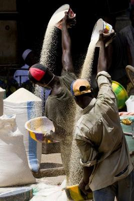 Hai đường cong - Chi Keung Wong (Mali)