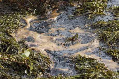 Chum anh gay soc ve o nhiem moi truong tren Trai dat - Anh 10