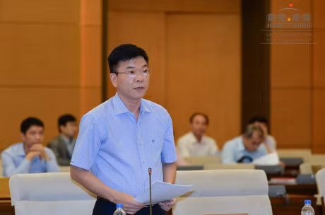 Tiep tuc lui trinh du luat Ve hoi va luat Bieu tinh - Anh 2