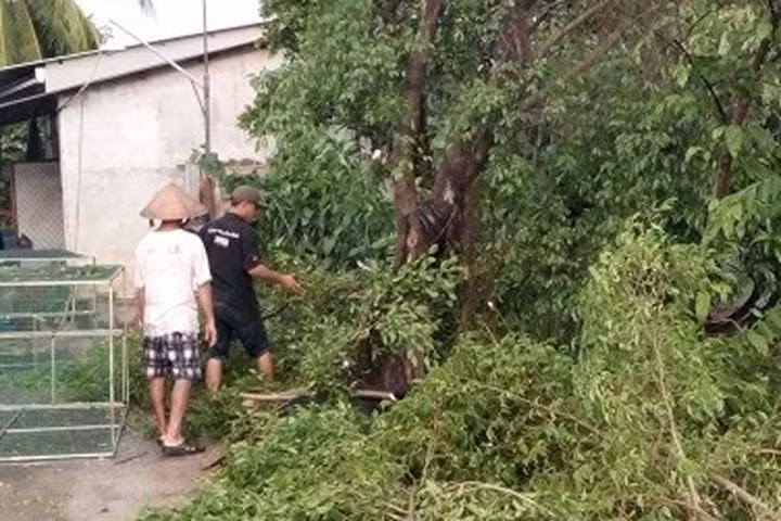 Mưa kèm lốc xoáy trái mùa "quật đổ" cây, cuốn bay nhiều biển hiệu