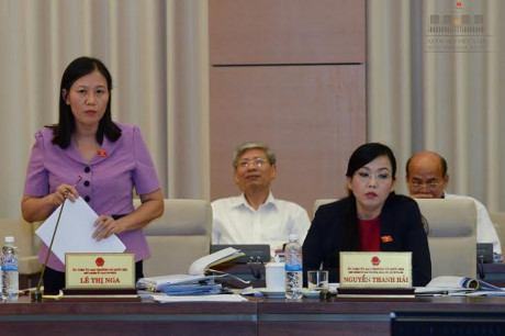 Tiếp tục lùi trình dự luật Về hội và luật Biểu tình - Ảnh 3 Tiep tuc lui trinh du luat Ve hoi va luat Bieu tinh - Anh 3