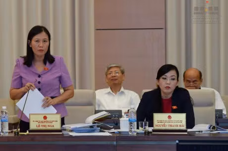 Tiep tuc lui trinh du luat Ve hoi va luat Bieu tinh - Anh 3