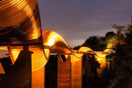 Cầu Henderson, Singapore:&nbsp;