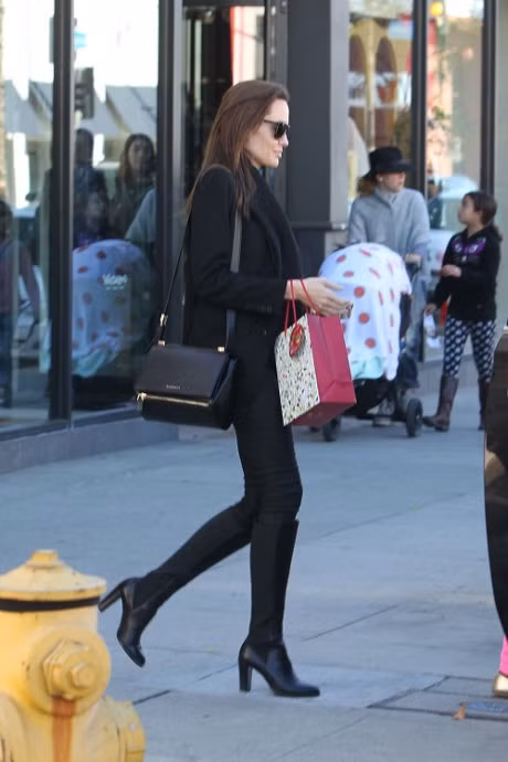 Angelina Jolie - Nguoi phu nu goi cam nhat hanh tinh - Anh 8