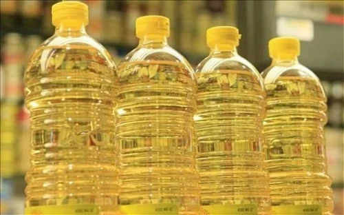 Tiết lộ sốc về nguy cơ ung thư khi dùng dầu thực vật