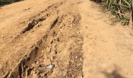 Lớp có 5 học sinh giữa rừng Tây Nguyên - Ảnh 6 Lop co 5 hoc sinh giua rung Tay Nguyen - Anh 6