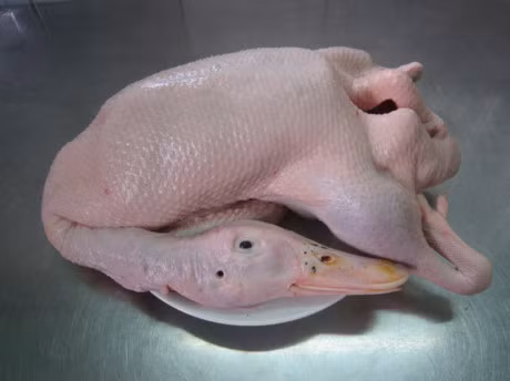 Meo don gian de loai bo mui hoi o vit ngay tuc khac - Anh 2