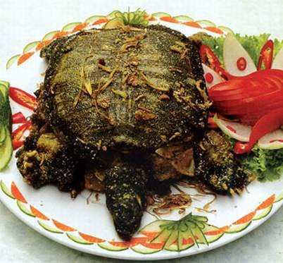 3 món ăn từ ba ba giúp chàng dũng mãnh ảnh 1 3 món ăn từ ba ba giúp chàng dũng mãnh