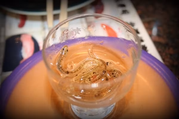 Thú ăn uống "lạ đời" của người Nhật ảnh 9