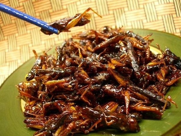 Thú ăn uống "lạ đời" của người Nhật ảnh 5 Thú ăn uống "lạ đời" của người Nhật ảnh 5