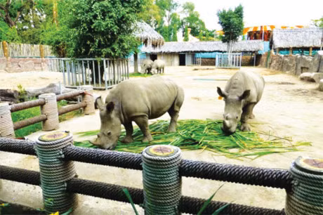 Dip nghi le 30/4 va 1/5: Xem va choi gi? - Anh 4