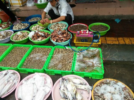 6 KHÔNG khi mua hải sản TƯƠI - NGON - RẺ - KHÔNG HÓA CHẤT, bà nội trợ nên BỎ TÚI - Ảnh 4 6 KHONG khi mua hai san TUOI - NGON - RE - KHONG HOA CHAT, ba noi tro nen BO TUI - Anh 4