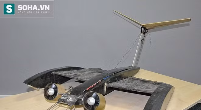 Máy bay điều khiển từ xa bay như… Người Dơi