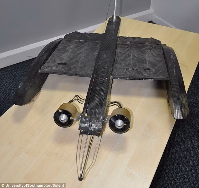 Máy bay có cánh như cánh dơi