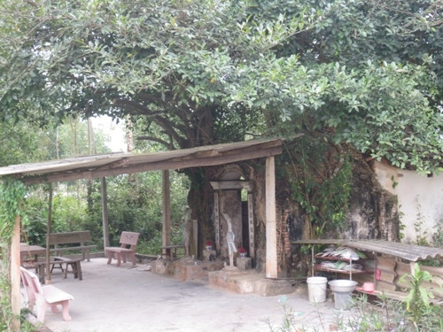 Khám phá ngôi đền u tịch thờ  Khám phá ngôi đền u tịch thờ